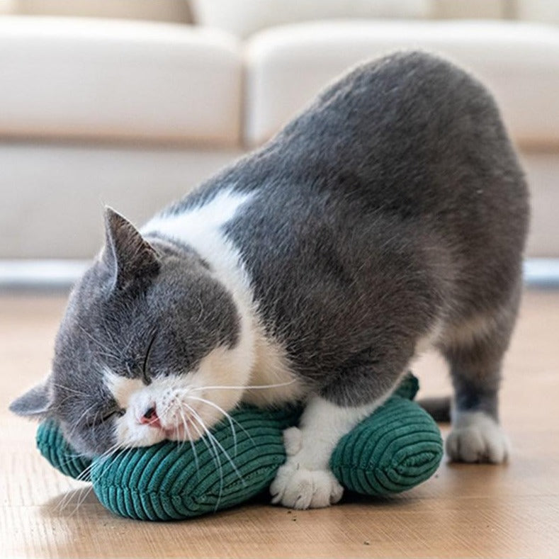 Catnip有趣的仙人掌互动玩具毛绒猫玩具牙齿磨牙小猫玩枕头爪拇指咬玩具